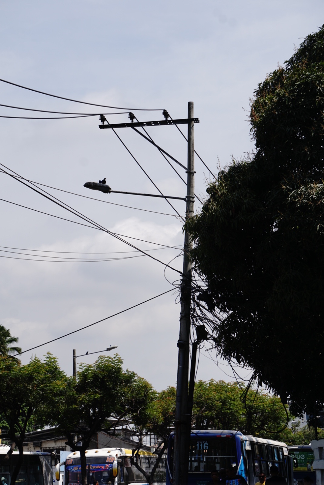 Inspección de Cables 7